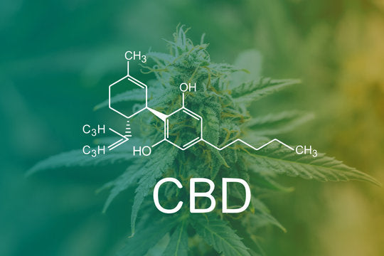 CBD? CBG? CBN? On vous explique tout!