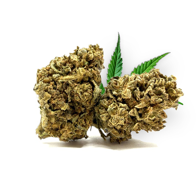 Donny Burger THM 50%