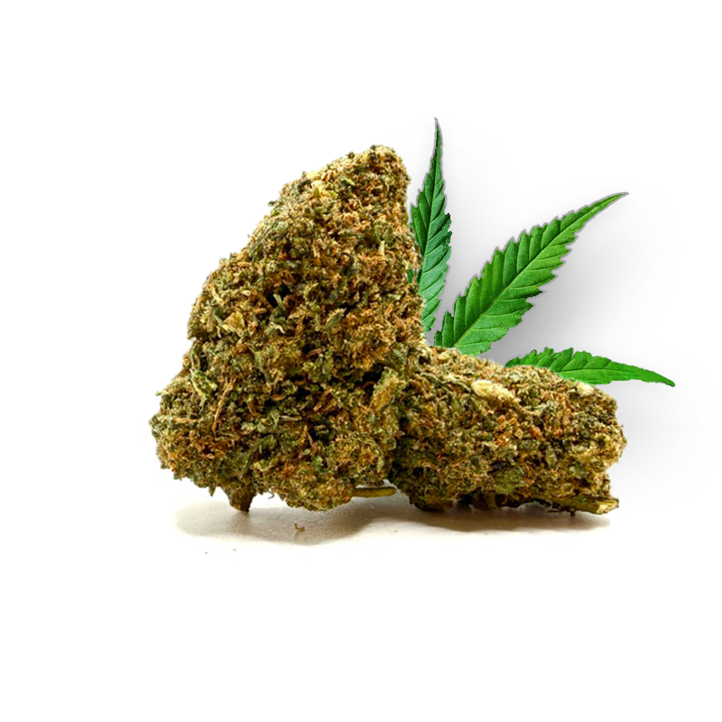 Alien OG THD 60%