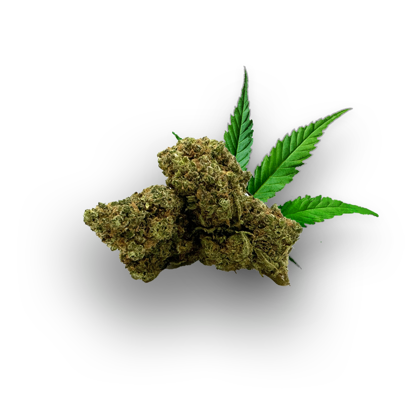 Gorilla Cookie 10-OH-HHC 10%