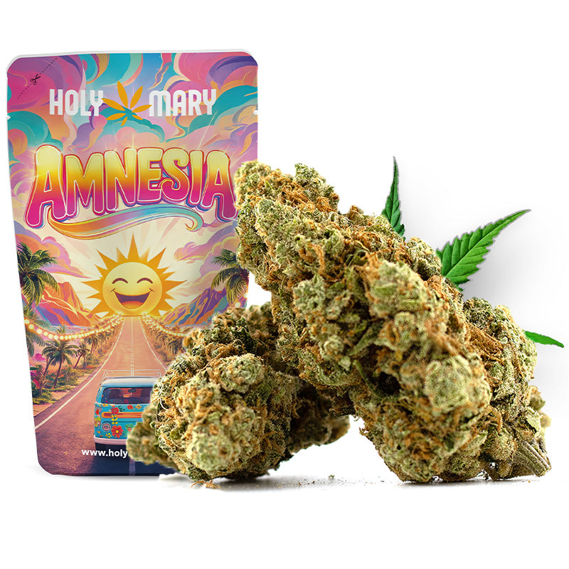 Amnesia – Fleur CBD Holy Mary aux arômes Haze, citronnés et épicés