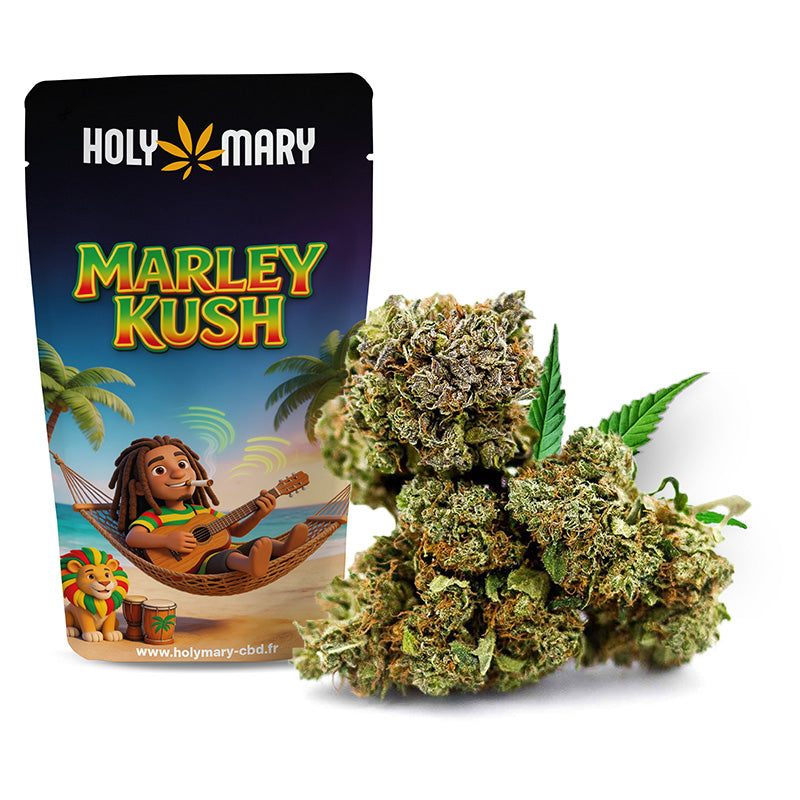 Marley Kush – Fleur CBD Holy Mary aux arômes terreux, boisés et d'épices