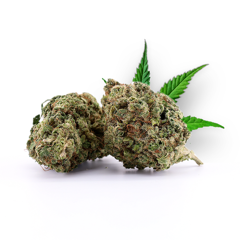 Tête de Banana Sour – Fleur CBD Holy Mary