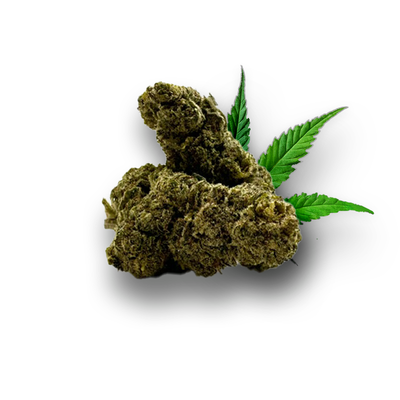 Tête de Blue Mango – Fleur 10-OH-HHC Holy Mary