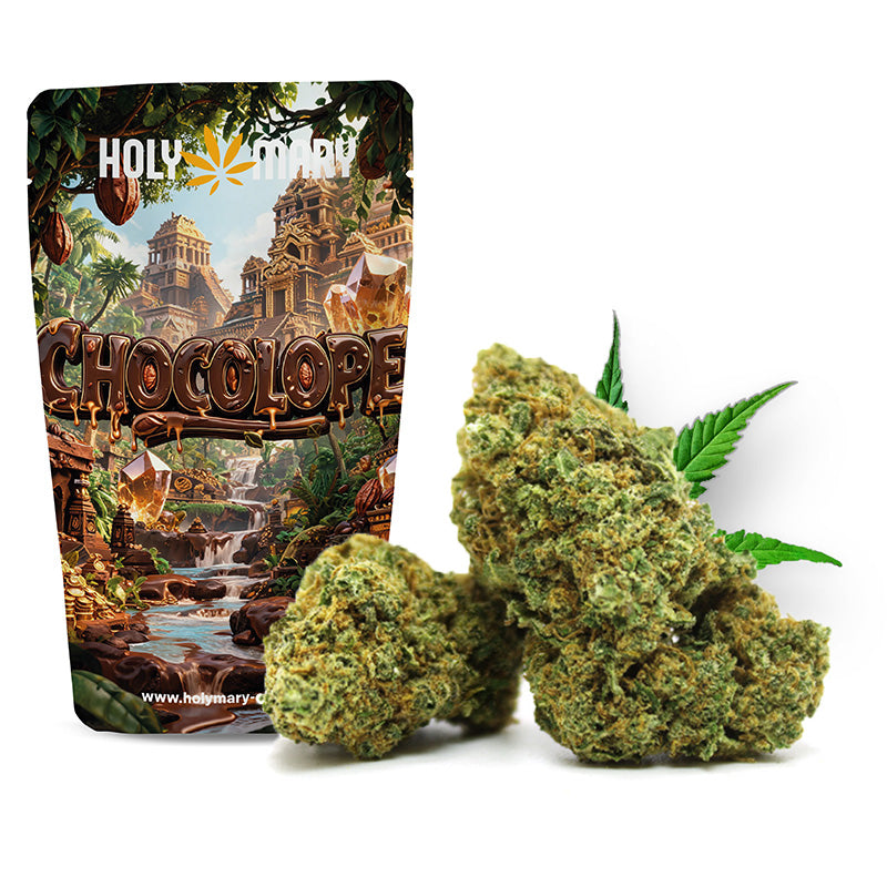 Chocolope – Fleur CBD Holy Mary aux arômes de chocolat, café et notes boisées