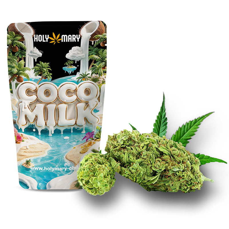 Coco Milk – Fleur CBD Holy Mary aux arômes de coco, vanille et notes florales