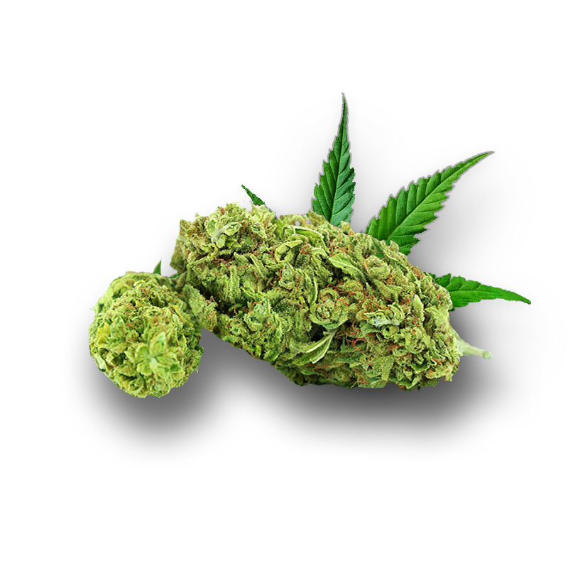Tête de Coco Milk – Fleur CBD Holy Mary