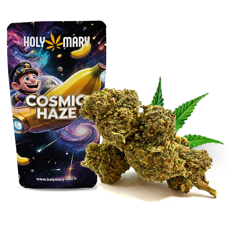 Cosmic Haze – Fleur THD Holy Mary aux arômes de banane, de fruits mûrs et de notes sucrées