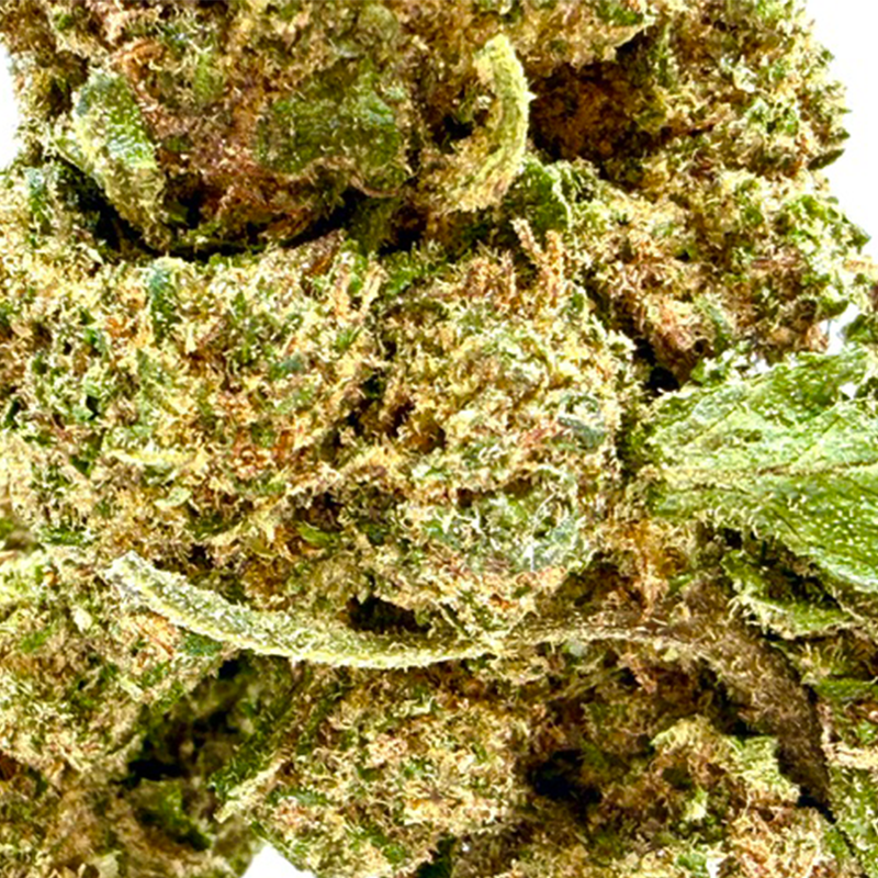 Big Apple Riot 10-OH 30%