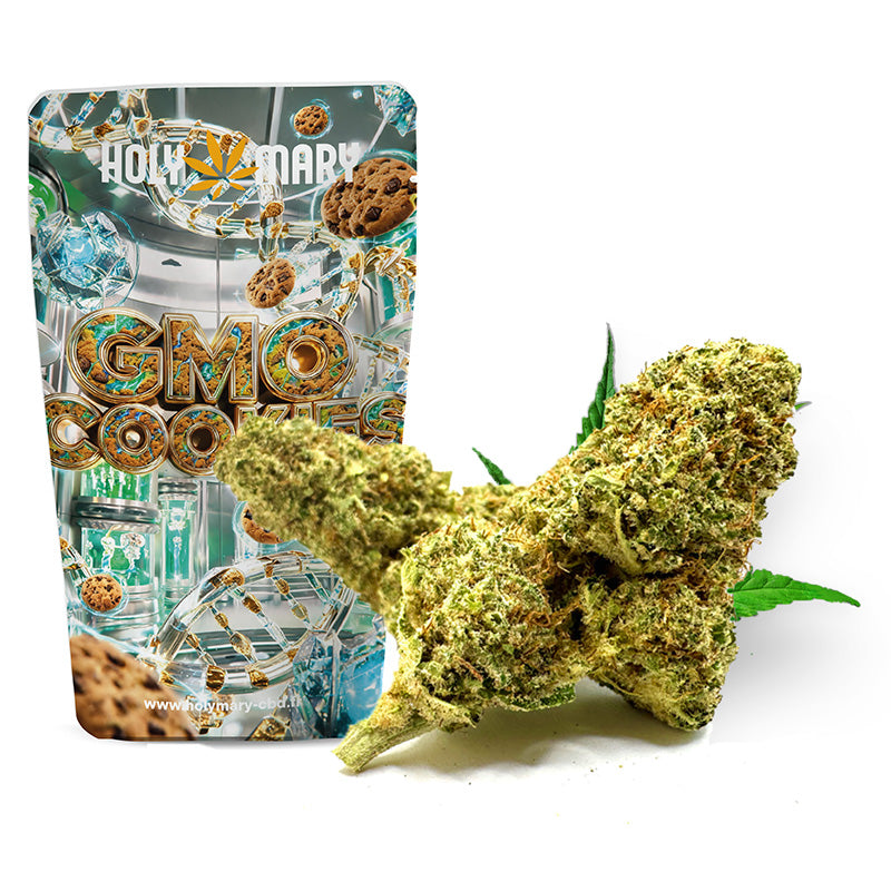 GMO Cookies – Fleur CBD Holy Mary aux arômes de cookies, d'ail et d'épices