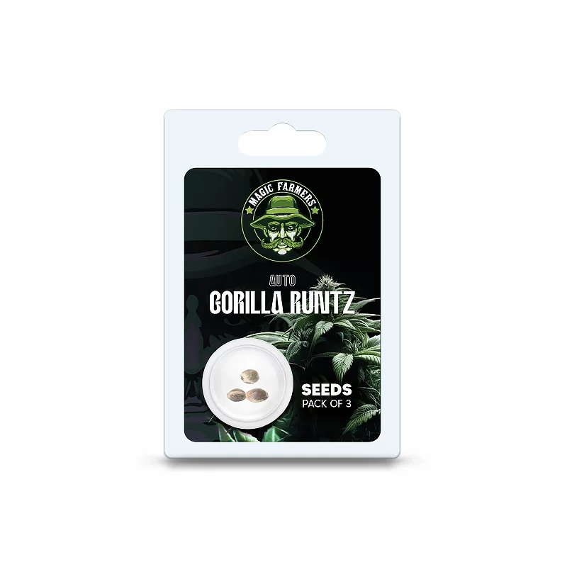 Graines THC Gorilla Runtz
