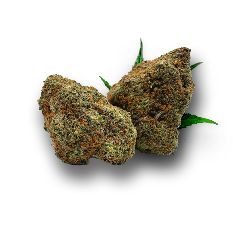 Tête de Mandarine Sherbert – Fleur CBD Holy Mary