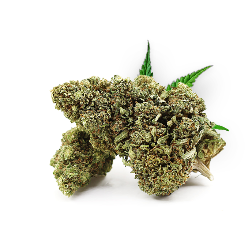 Tête d'OG Kush – Fleur CBD Holy Mary