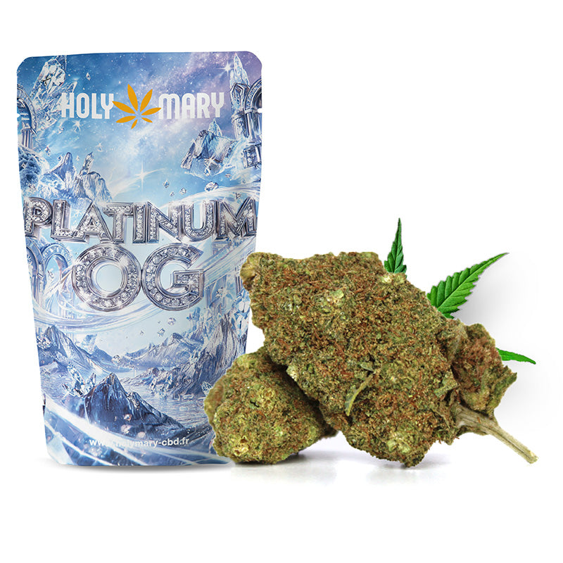 Platinum OG – Fleur CBD Holy Mary aux arômes terreux, de pin et d'épices