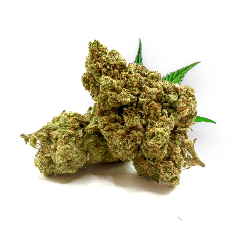 Tête de Ruby Kiss – Fleur CBD Holy Mary