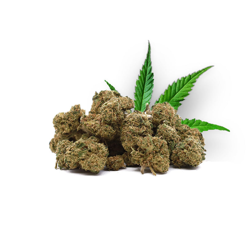 Têtes de Small Buds Lemon Pop – Fleur CBD Holy Mary
