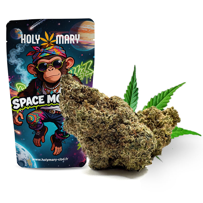 Space Monkey â Fleur THM Holy Mary