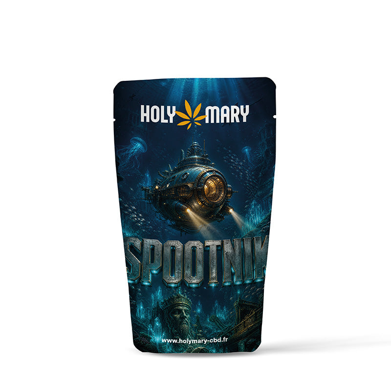 Sachet de rĂ©sine THM Spootnik â Holy Mary