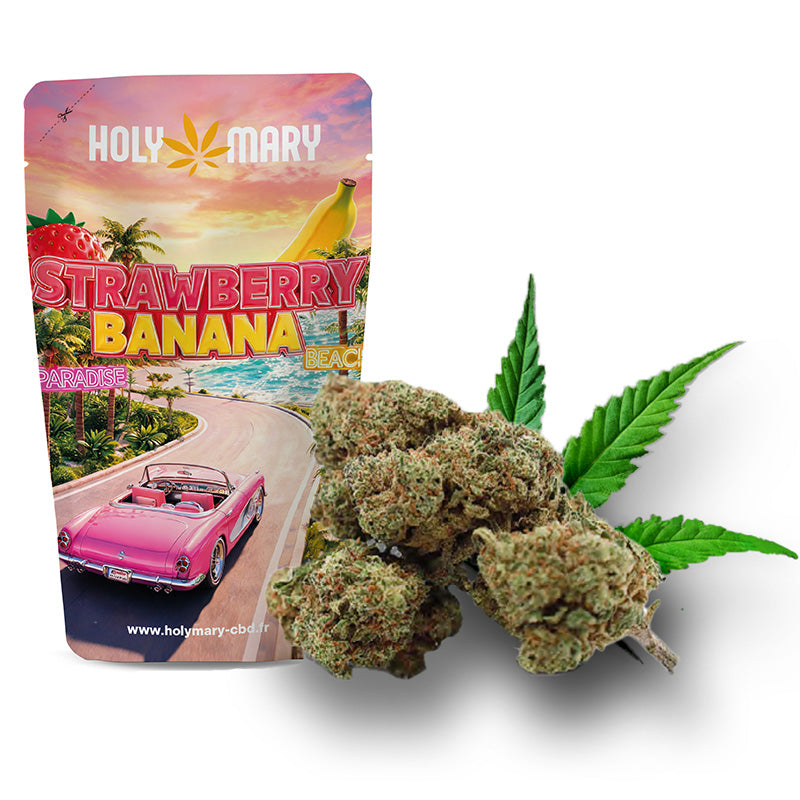 Strawberry Banana – Fleur CBD Holy Mary aux arômes de fraise, de banane et de notes sucrées