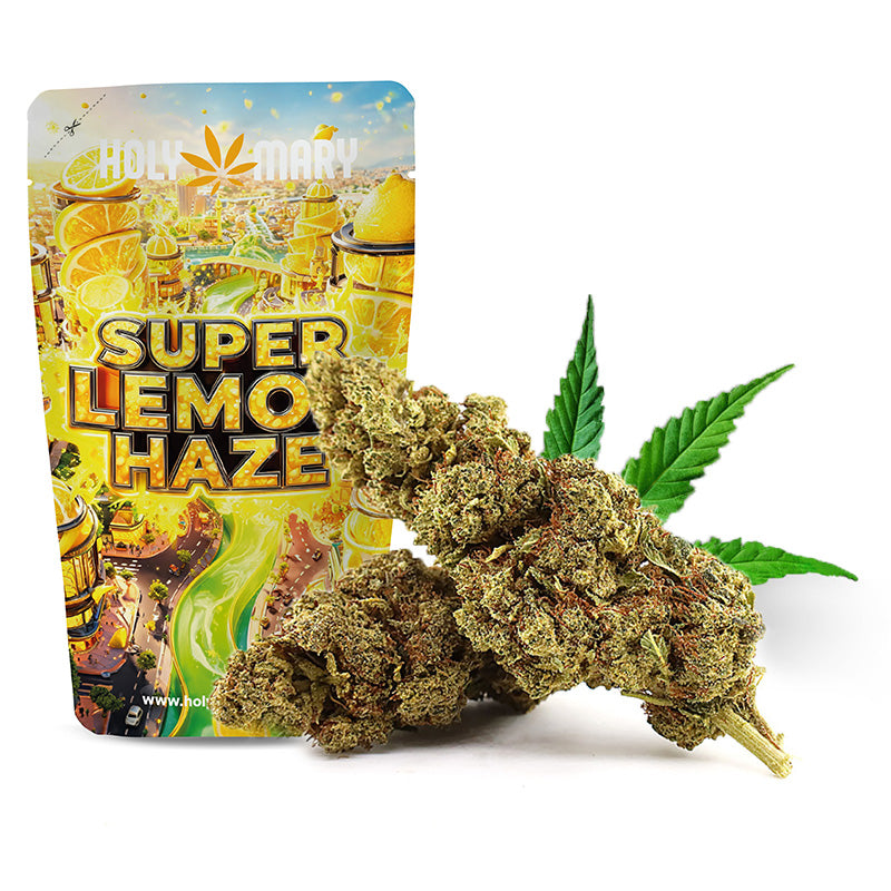 Super Lemon Haze – Fleur 10-OH-HHC Holy Mary aux arômes citronnés et Haze