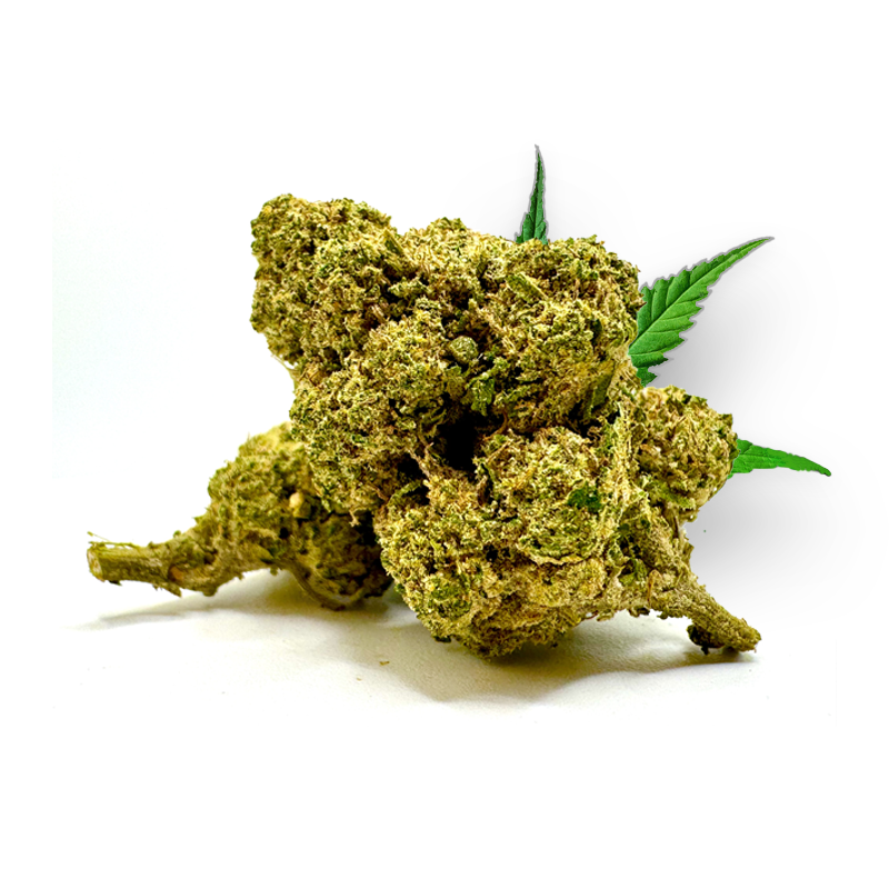 Tête de Sweet Gelato – Fleur 10-OH-HHC Holy Mary