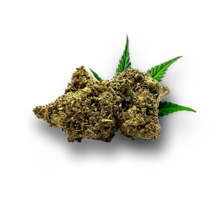 Tête de Wake and Bake – Fleur 10-OH-HHC Holy Mary