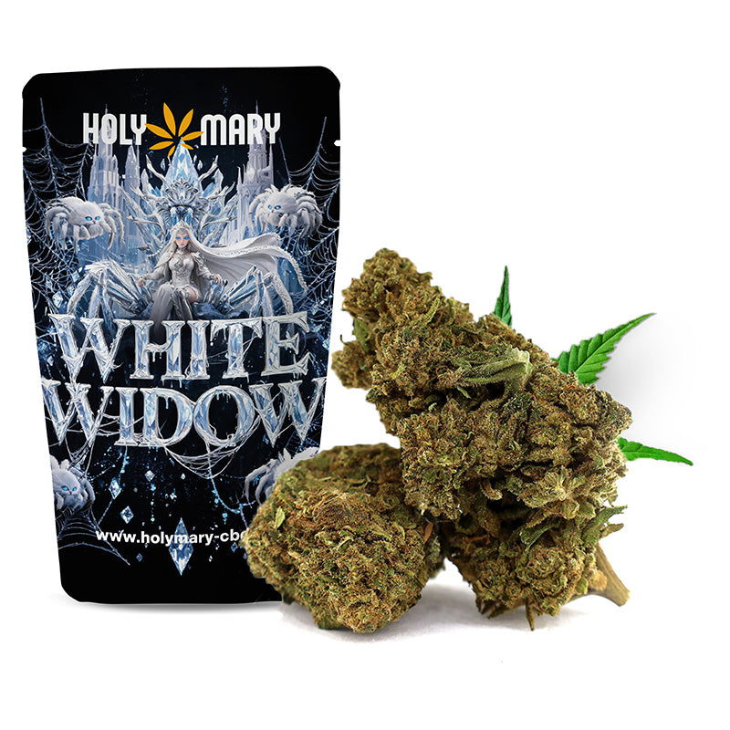 White Widow – Fleur CBD Holy Mary aux arômes boisés, d'agrumes et d'épices