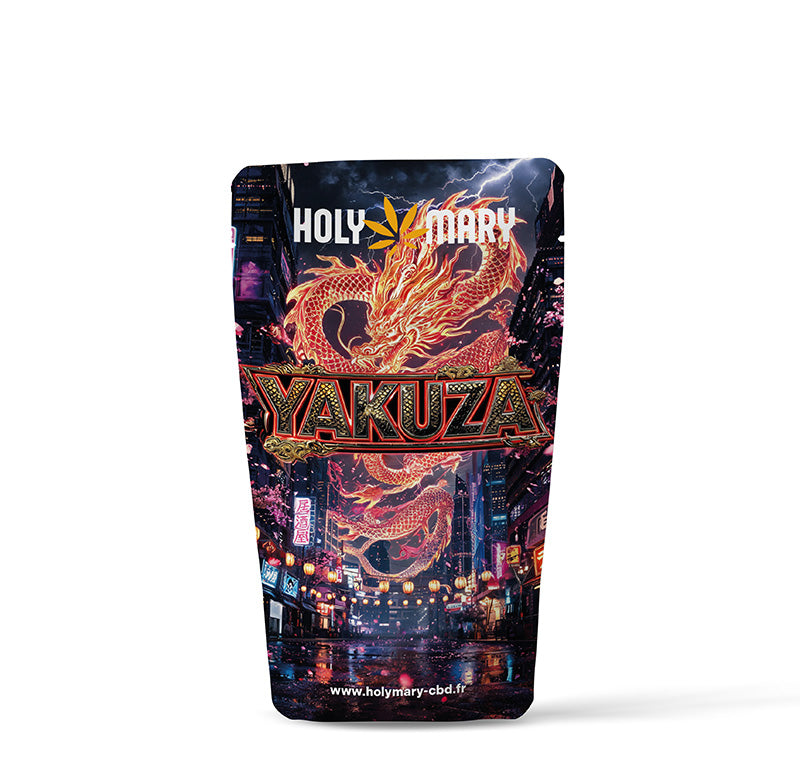Sachet de résine THD Yakuza – Holy Mary
