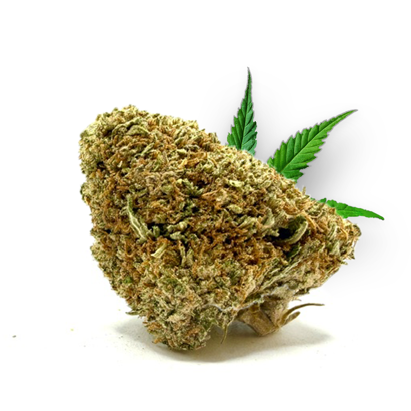 Tête de Zero Gravity – Fleur CBD Holy Mary