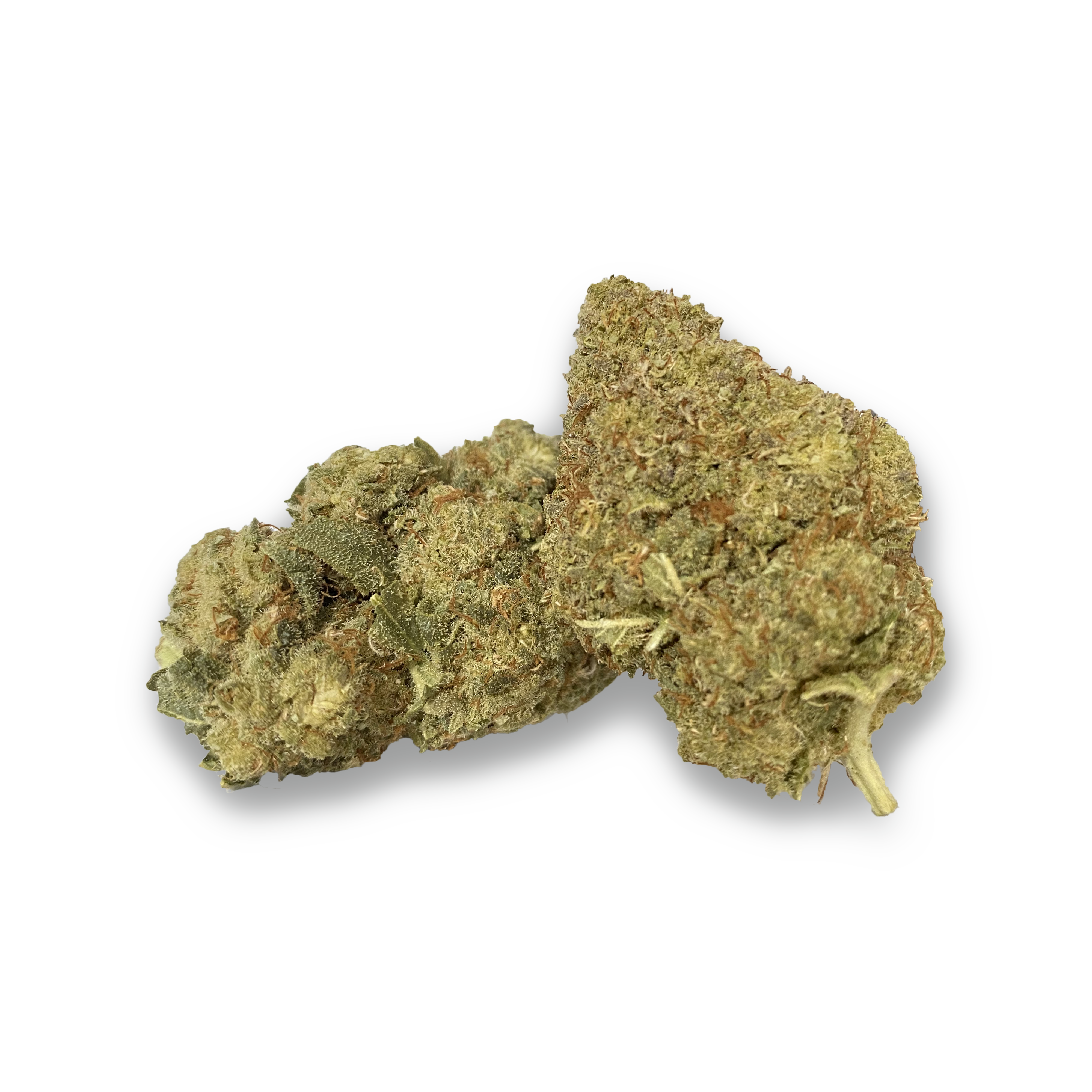 Premium Pack