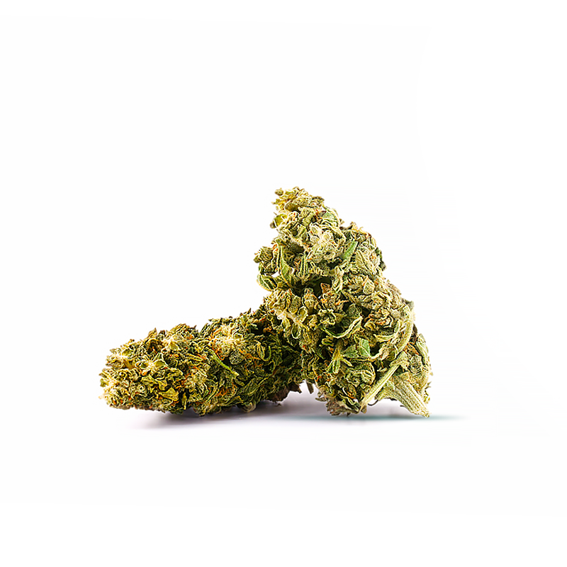 Premium Pack