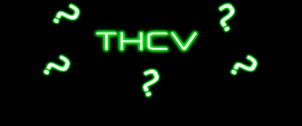 THCV : C’est quoi cette nouvelle molécule ?