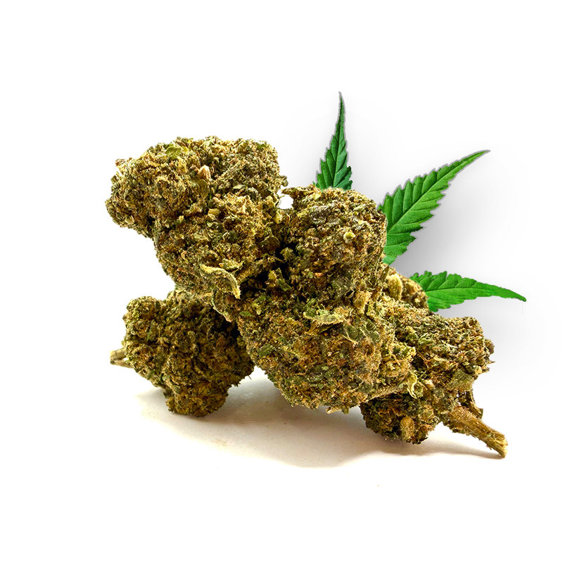 Cosmic Haze 50%THD