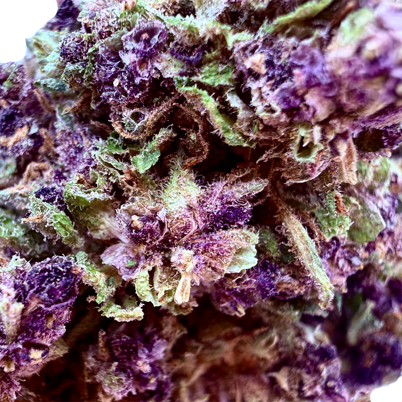 Purple Mary THD 50%