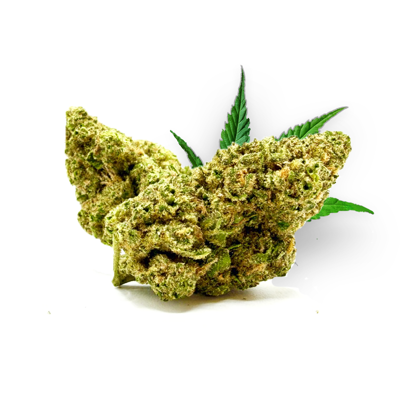 Killer Instinct THD 50%