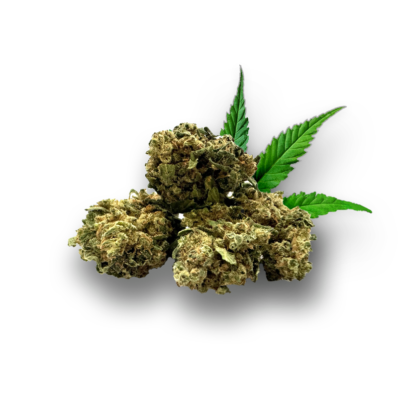 Spécial Sauce CBD