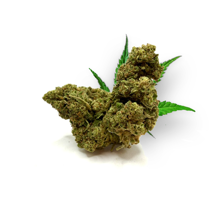 Space Monkey THD 50%