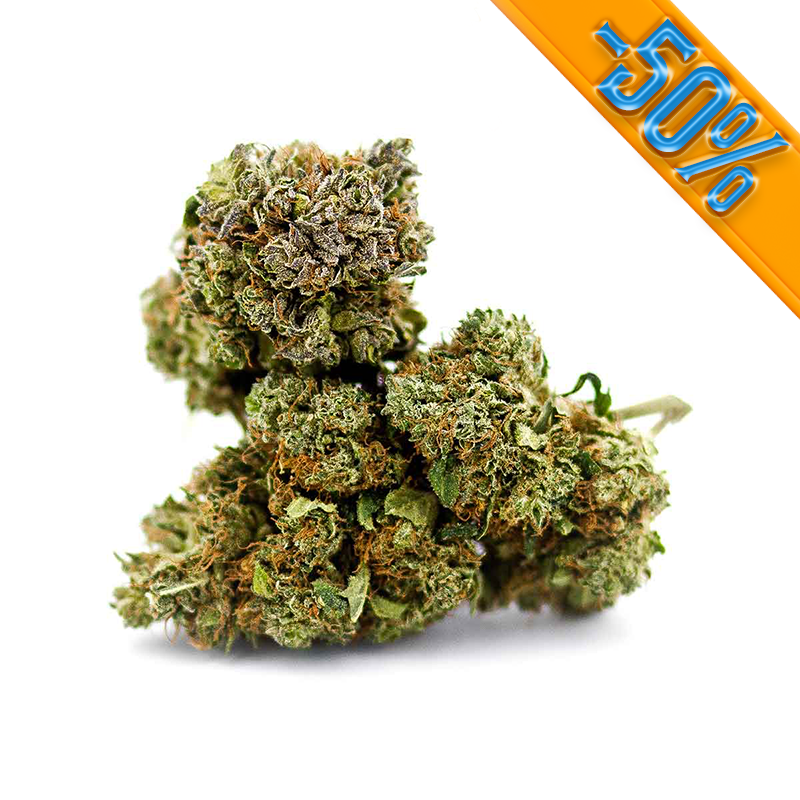 OG Kush CBD