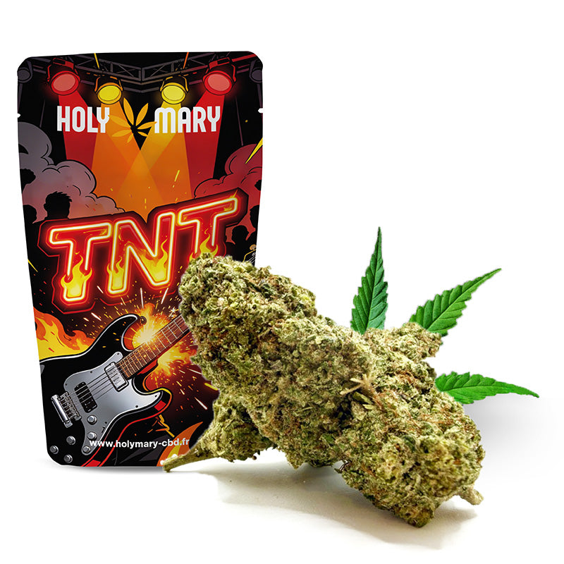 T.N.T – Fleur THD Holy Mary aux arômes fruités, de citron et de notes épicées