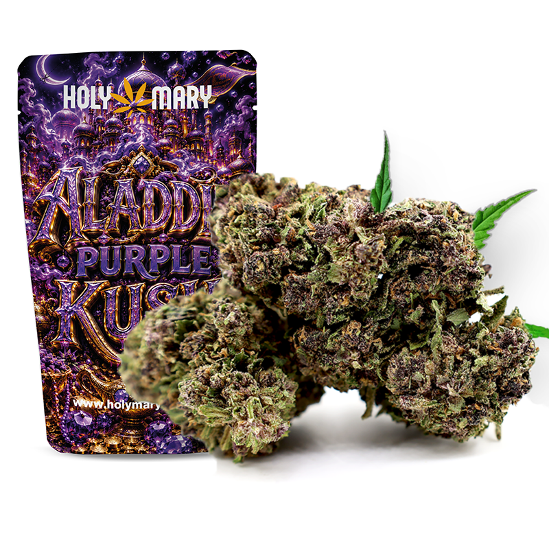 Aladdin Purple Kush – Fleur CBD Holy Mary aux arômes terreux, d'agrumes et acidulés