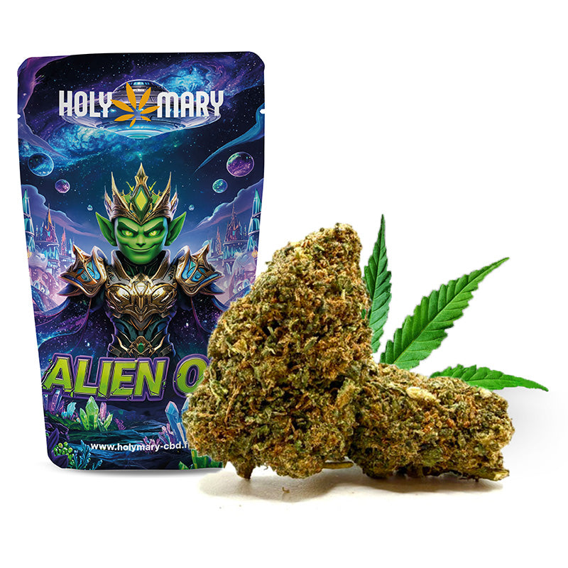 Alien OG – Fleur THD Holy Mary aux arômes de citron, de pin et de notes diesel