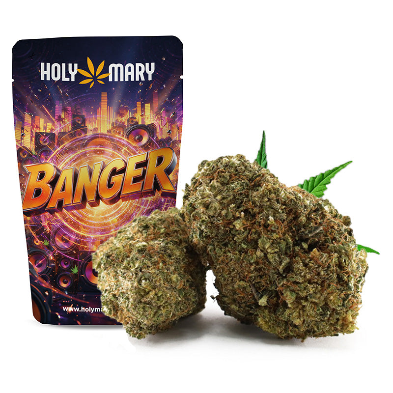 Banger – Fleur THD Holy Mary aux arômes de diesel, d'agrumes et de notes terreuses