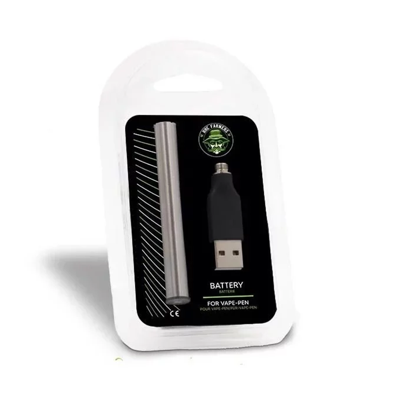 Batterie Vape Pen 350 mAh en acier inoxydable gris métal – Holy Mary