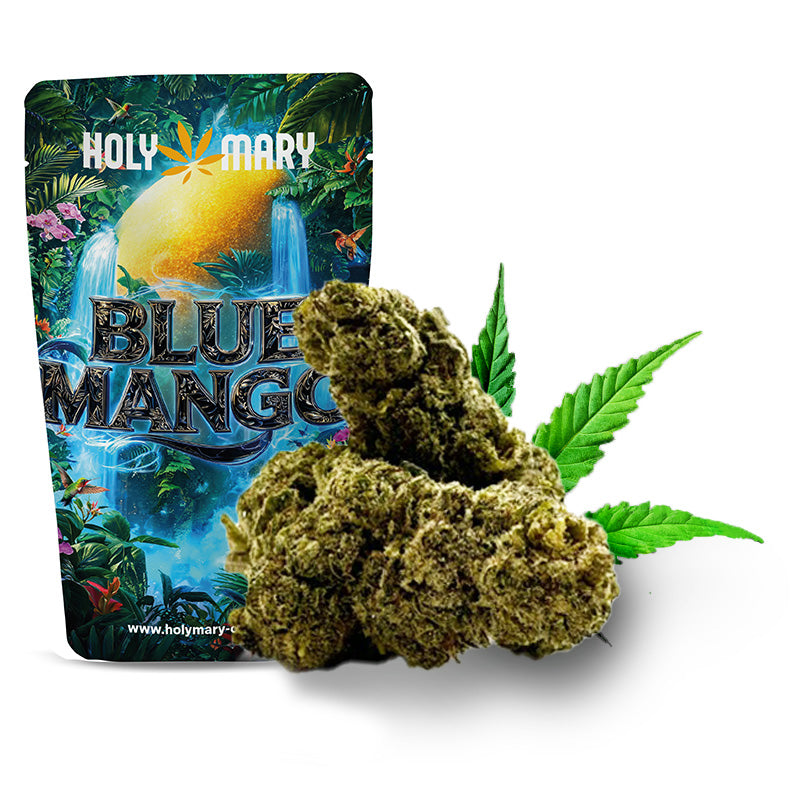 Blue Mango – Fleur 10-OH-HHC Holy Mary