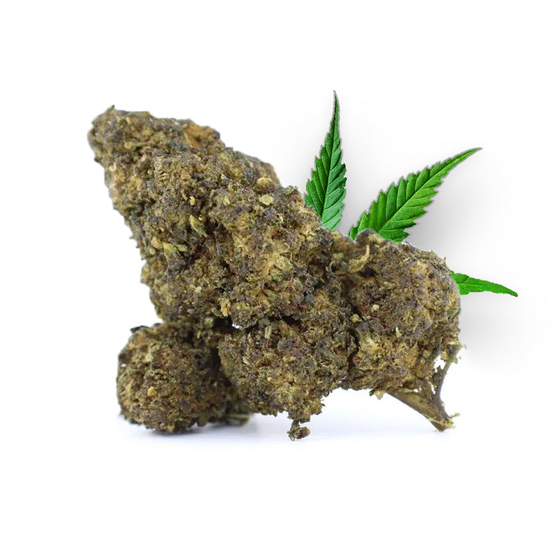 Tête de Casper – Fleur 10-OH-HHC Holy Mary