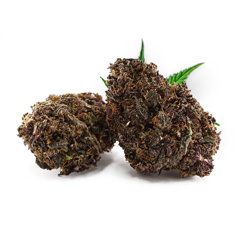 Buds Chili Pepper THD violettes pourpres avec pistils orange