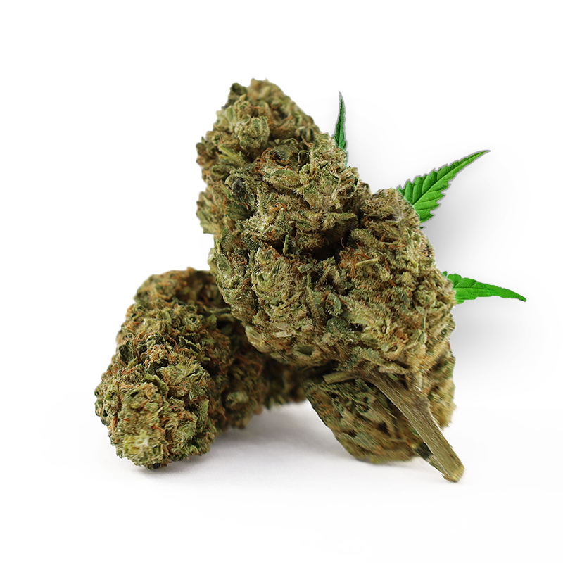 Tête de Cookie Reserve – Fleur THD Holy Mary