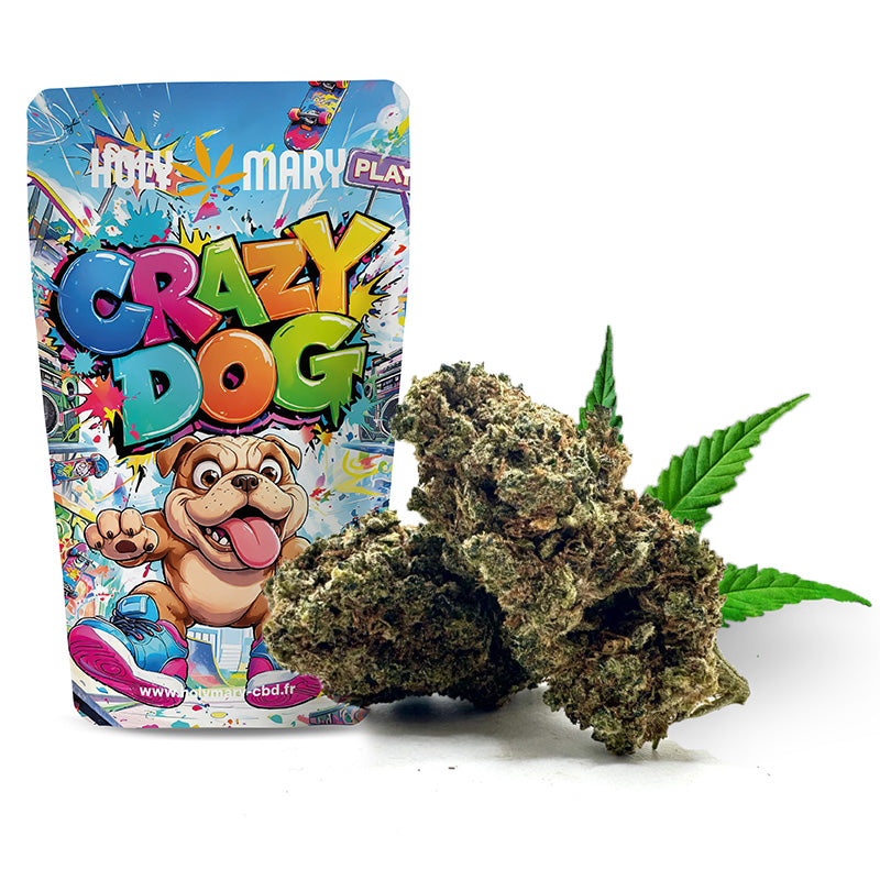 Crazy Dog – Fleur THM Holy Mary aux arômes fruités, acidulés et légèrement boisés
