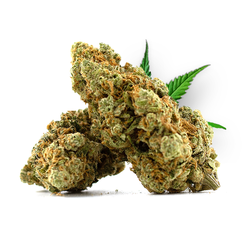 Amnesia CBD 14%