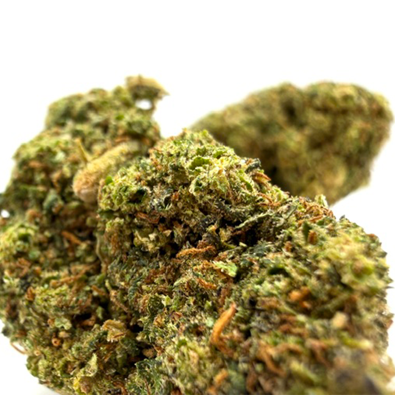 Legion Haze THM 50%
